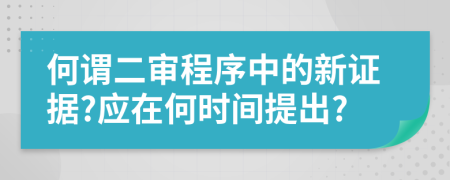 何謂二審程序中的新證據(jù)?應(yīng)在何時間提出?