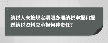 納稅人未按規(guī)定期限辦理納稅申報和報送納稅資料應(yīng)承擔(dān)何種責(zé)任？