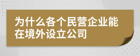 為什么各個民營企業(yè)能在境外設(shè)立公司