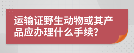運(yùn)輸證野生動(dòng)物或其產(chǎn)品應(yīng)辦理什么手續(xù)？