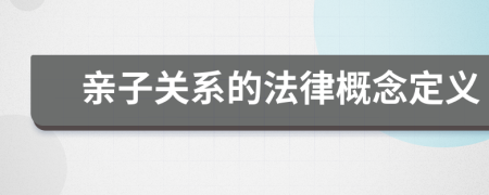 親子關(guān)系的法律概念定義