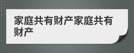 家庭共有財(cái)產(chǎn)家庭共有財(cái)產(chǎn)