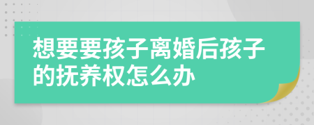 想要要孩子離婚后孩子的撫養(yǎng)權(quán)怎么辦