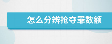 怎么分辨搶奪罪數(shù)額
