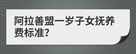 阿拉善盟一歲子女撫養(yǎng)費標(biāo)準(zhǔn)？