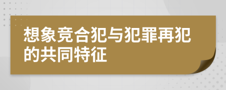 想象競合犯與犯罪再犯的共同特征