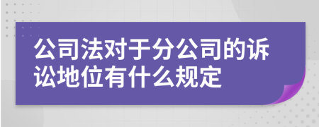公司法對于分公司的訴訟地位有什么規(guī)定