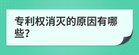 專(zhuān)利權(quán)消滅的原因有哪些？