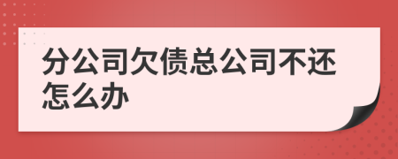 分公司欠債總公司不還怎么辦