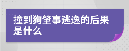 撞到狗肇事逃逸的后果是什么