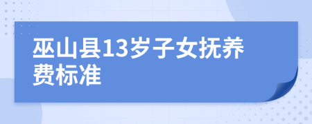 巫山縣13歲子女撫養(yǎng)費標準