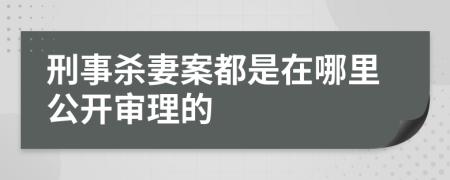 刑事殺妻案都是在哪里公開(kāi)審理的