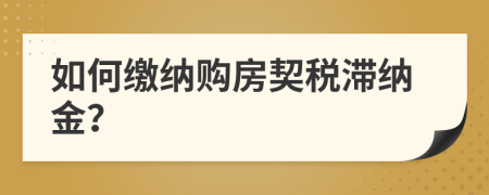 如何繳納購房契稅滯納金？