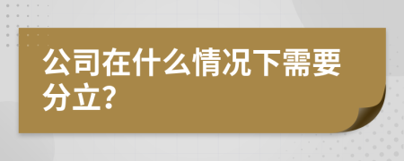 公司在什么情況下需要分立？