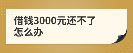 借錢3000元還不了怎么辦