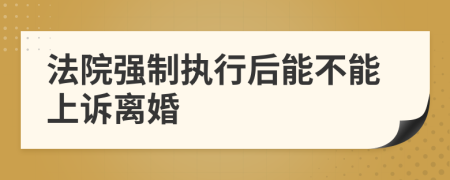 法院強制執(zhí)行后能不能上訴離婚
