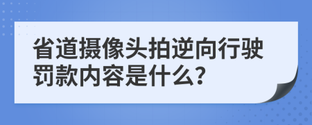 省道攝像頭拍逆向行駛罰款內(nèi)容是什么？