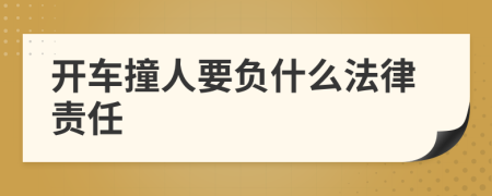 開車撞人要負(fù)什么法律責(zé)任