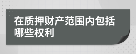 在質(zhì)押財產(chǎn)范圍內(nèi)包括哪些權(quán)利