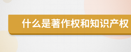 什么是著作權和知識產(chǎn)權