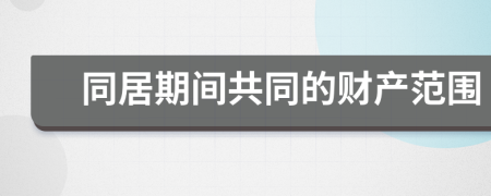 同居期間共同的財(cái)產(chǎn)范圍