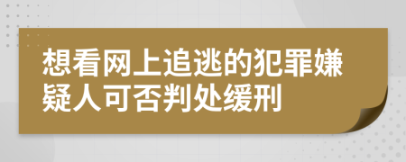想看網(wǎng)上追逃的犯罪嫌疑人可否判處緩刑