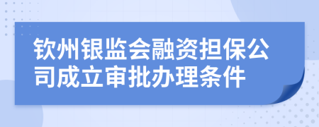 欽州銀監(jiān)會(huì)融資擔(dān)保公司成立審批辦理?xiàng)l件