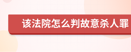 該法院怎么判故意殺人罪