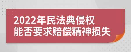 2022年民法典侵權能否要求賠償精神損失