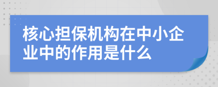核心擔(dān)保機(jī)構(gòu)在中小企業(yè)中的作用是什么