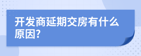 開(kāi)發(fā)商延期交房有什么原因?