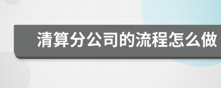 清算分公司的流程怎么做