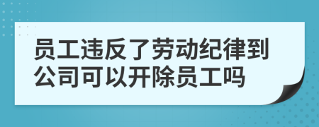 員工違反了勞動(dòng)紀(jì)律到公司可以開除員工嗎