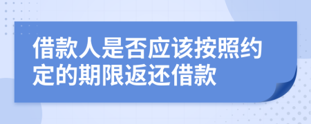 借款人是否應(yīng)該按照約定的期限返還借款