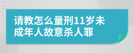 請教怎么量刑11歲未成年人故意殺人罪