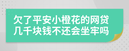 欠了平安小橙花的網(wǎng)貸幾千塊錢不還會(huì)坐牢嗎