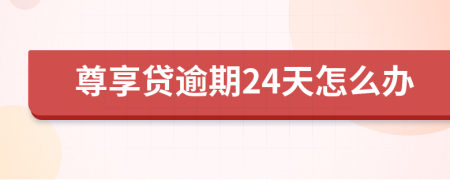 尊享貸逾期24天怎么辦