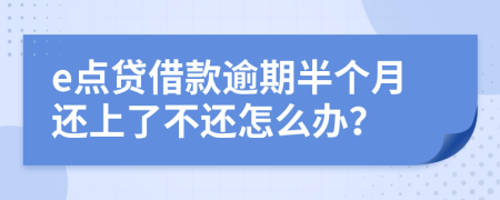 e點(diǎn)貸借款逾期半個(gè)月還上了不還怎么辦？