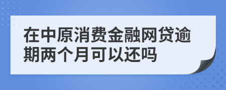 在中原消費(fèi)金融網(wǎng)貸逾期兩個月可以還嗎