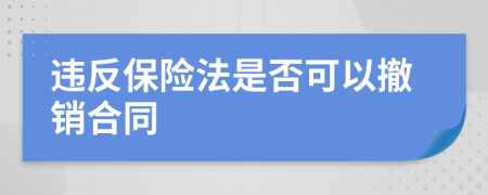 違反保險(xiǎn)法是否可以撤銷合同