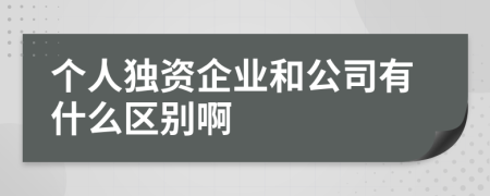 個人獨資企業(yè)和公司有什么區(qū)別啊