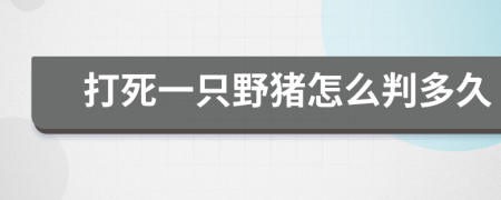 打死一只野豬怎么判多久