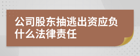 公司股東抽逃出資應(yīng)負(fù)什么法律責(zé)任