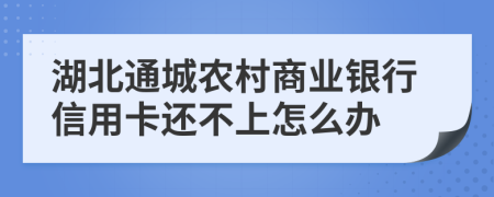 湖北通城農(nóng)村商業(yè)銀行信用卡還不上怎么辦
