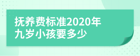 撫養(yǎng)費(fèi)標(biāo)準(zhǔn)2020年九歲小孩要多少