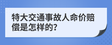 特大交通事故人命價(jià)賠償是怎樣的？