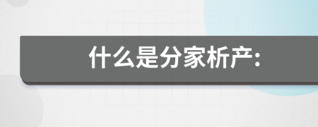 什么是分家析產(chǎn):