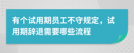 有個試用期員工不守規(guī)定，試用期辭退需要哪些流程