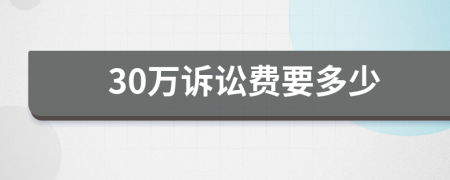 30萬(wàn)訴訟費(fèi)要多少