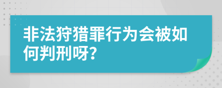 非法狩獵罪行為會被如何判刑呀？